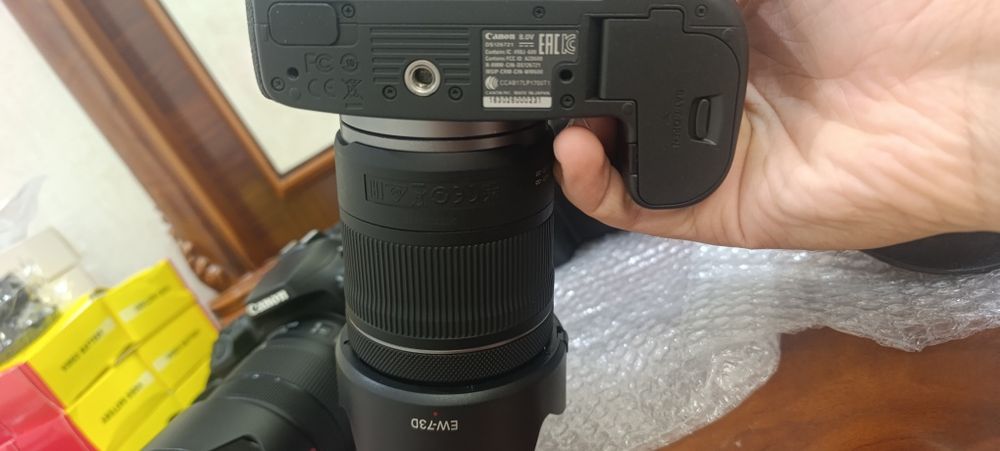 Canon EOS R+Canon lens RF 24-105mm F4-7.1 IS STM