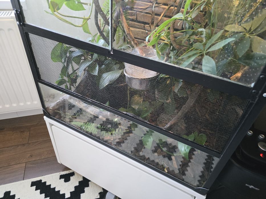 Lampa dubla ZooMed L caldura/UV+sistem de ceață/umificator ReptiPlanet