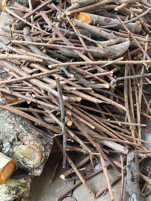 Фруктовые деревья