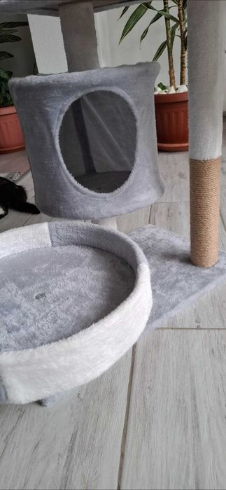 Котешка катерушка