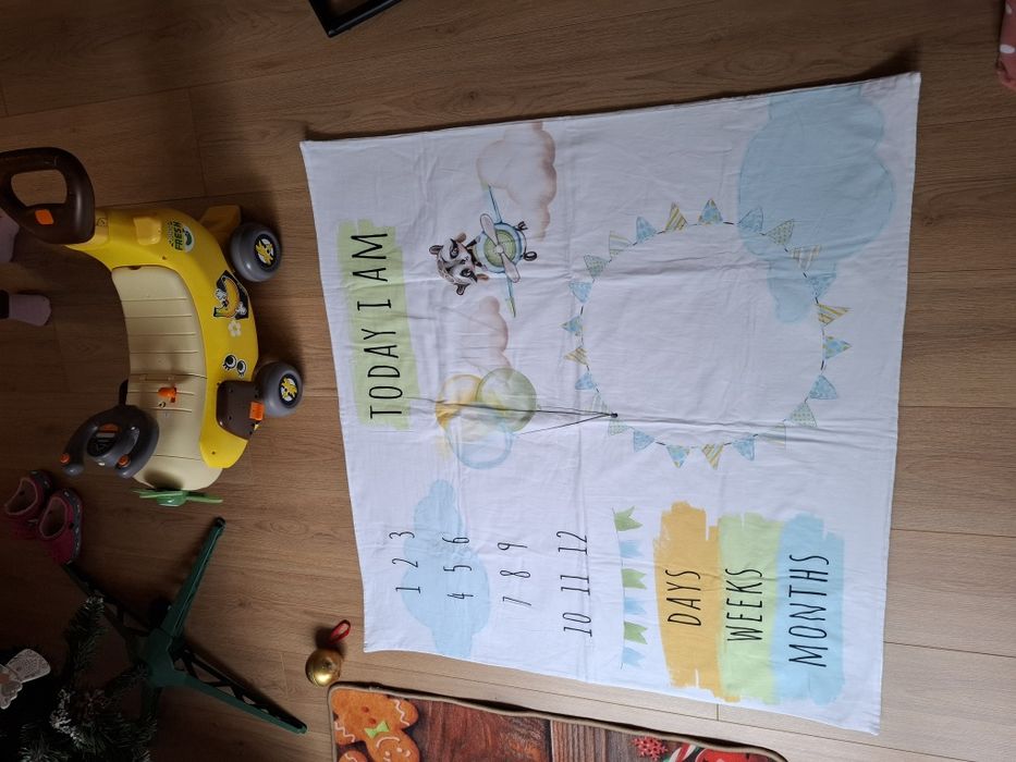 Paturica aniversara Aviator