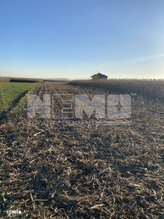 Teren Frătăuții Vechi | 14 Ari | 25.000 EUR