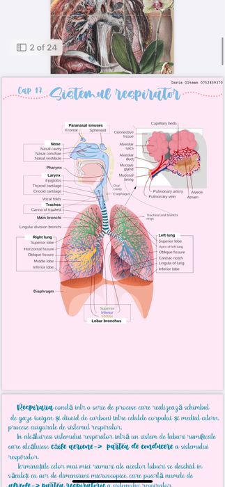 Meditații ADMITERE Medicină