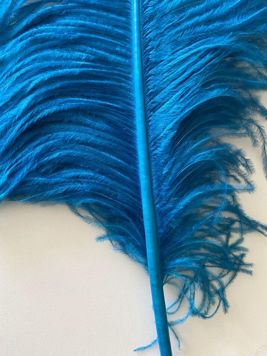 Страусиное перо, декор