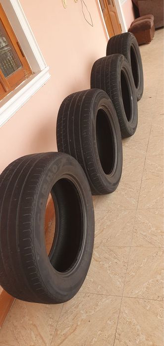 Kaptiva balon yaxshi holatda