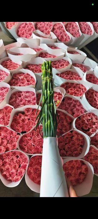 Гвоздика и роза оптом и розницу