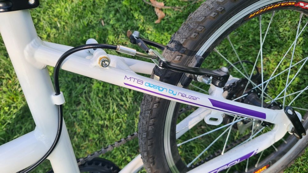 Bicleta copii de 20 Neuzer Mistral