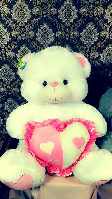 Teddiy ayiqchalari holati yengi