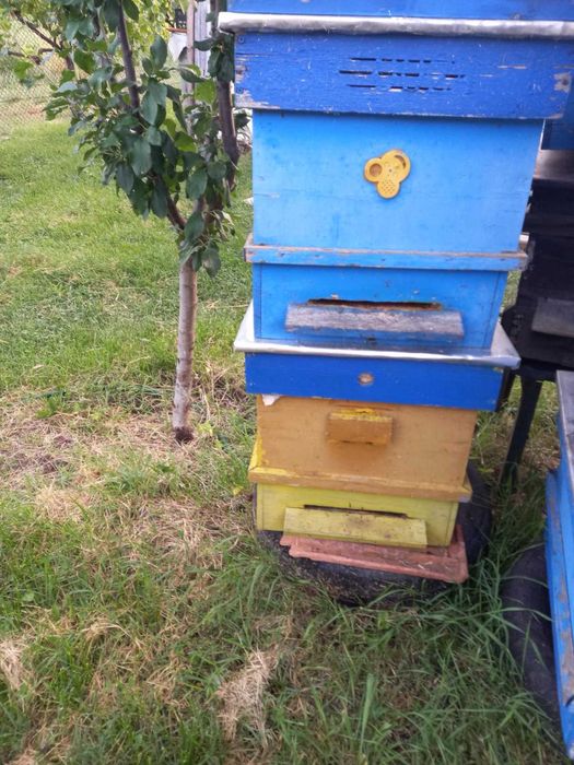 Продавам кошери, бъркалка за сироп и тел за пити