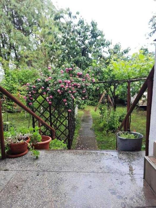 cazare Beach, Please! 2026 Costinesti