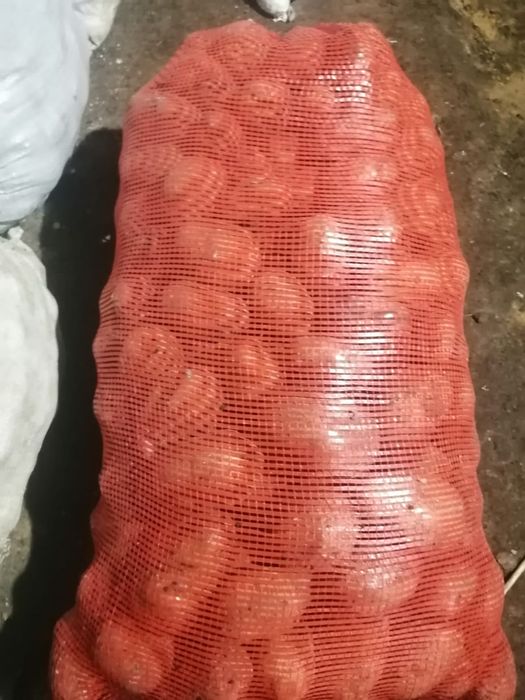 Продам картофель едововой