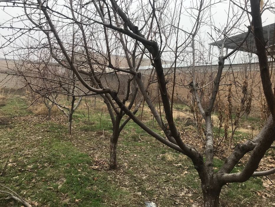 ер сотилади 7. 89 сотиҳ