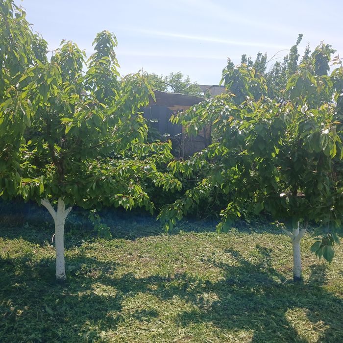 Продам часть дома