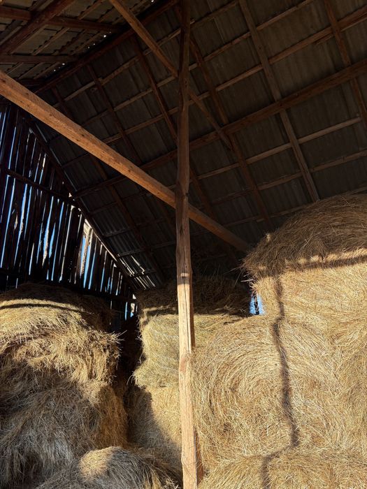 Vând baloți rotunzi