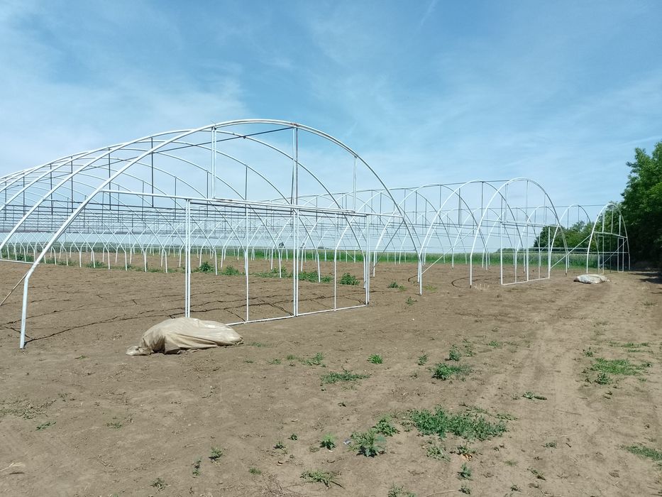 Solarii legume, solar gradina