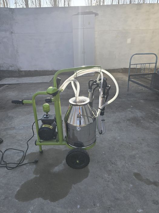 Chorva mollari uchun sut soĝadigan aparat