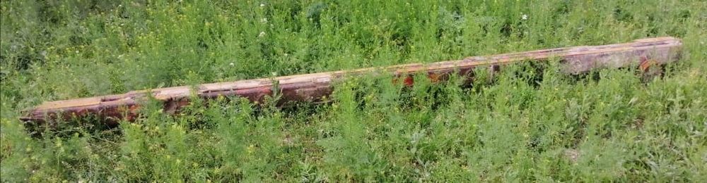 Жер тегыстейтын мала сатылады