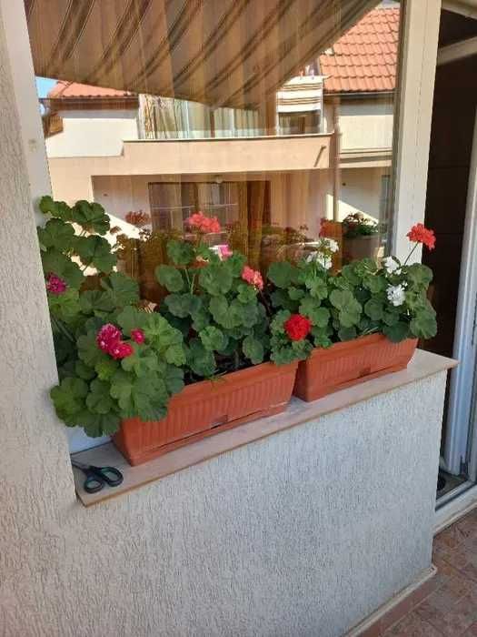 Продава се Двустаен апартамент в Свети Влас - 64 кв.м за 502 €/кв.м - Снимка #12