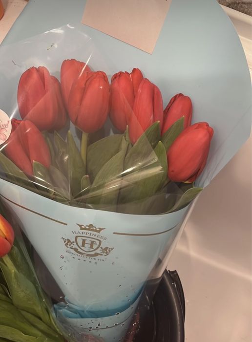 Продам тюльпаны оптом и розница