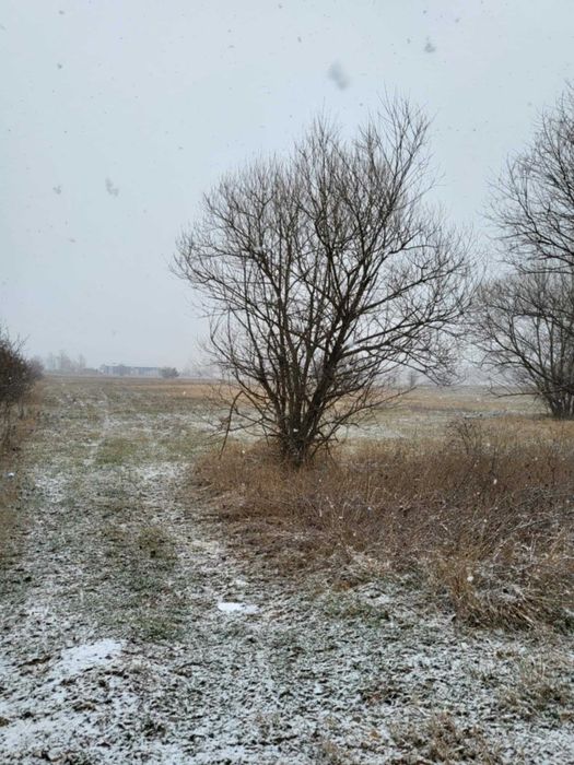 Продава се Земеделски имот в Самоков -  кв.м за 11 €/дка - Снимка #3