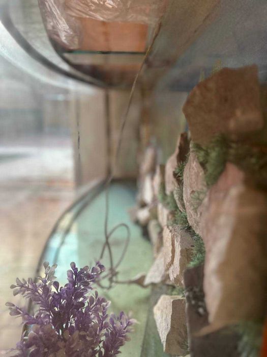 Продаётся большой аквариум - идеально для создания подводного мира!