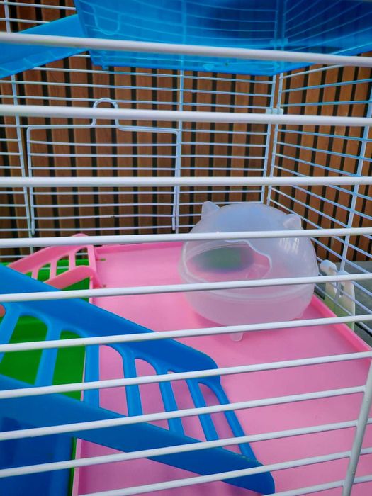 Cusca pentru hamster