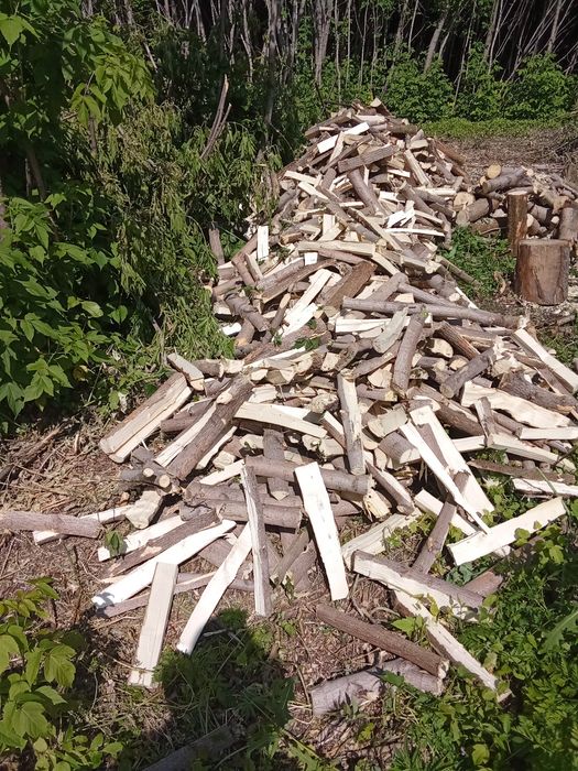 Продам дрова колотые.