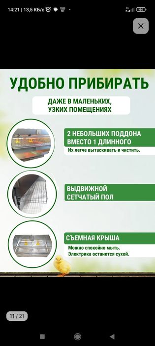 Браудер для цыплят