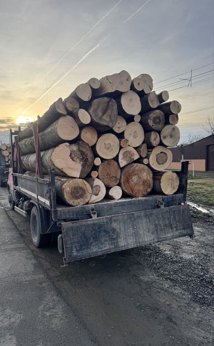 Lemn de foc diferite sortimente