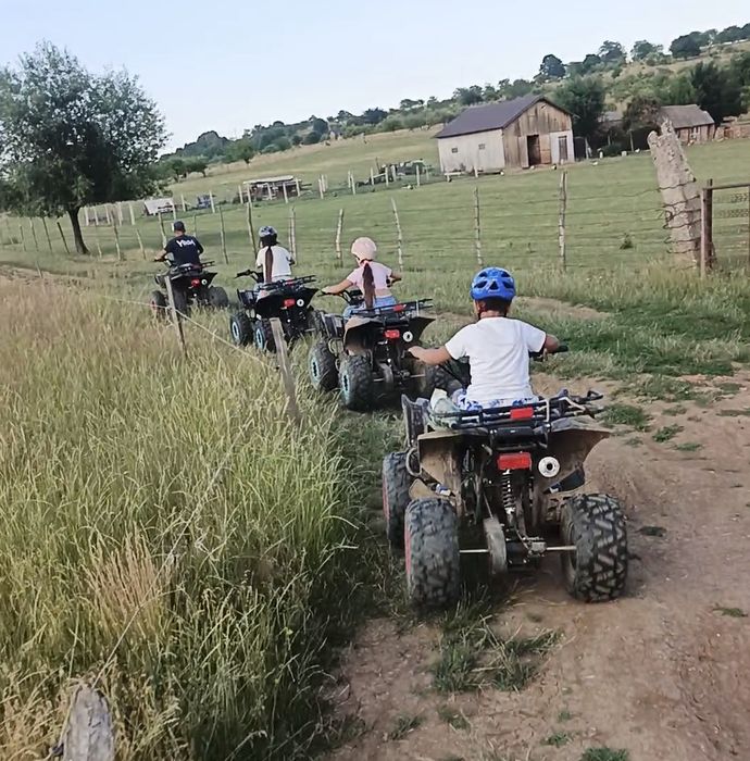 Vând flota 10 Atv-uri quad 2026 folosite 3 luni