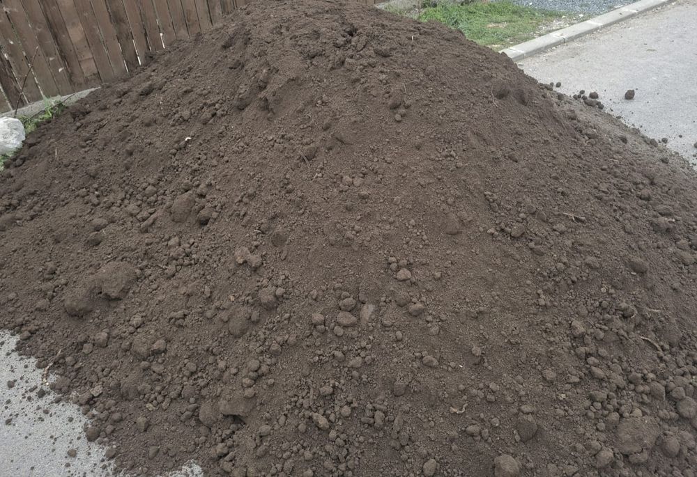 Pamant negru (vegetal)