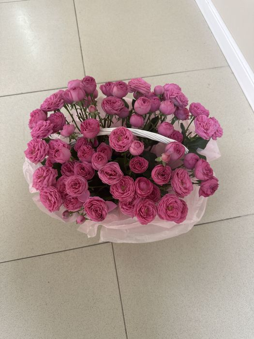 Продам цветы гул