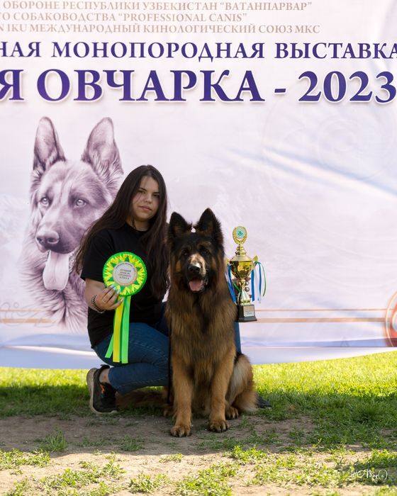 Дрессировка вашего питомца. Инструктор-Кинолог