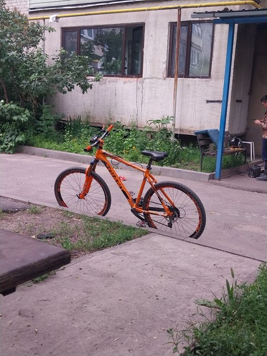 Giant rincon disc 2024