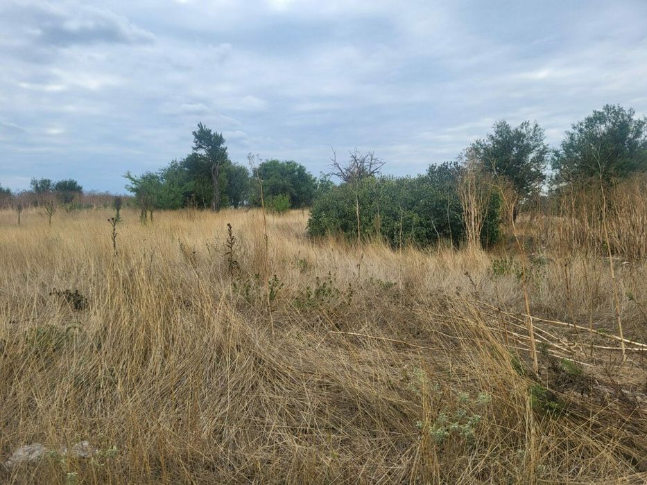 Голям парцел за продажба в с. Ботево, обл. Варна