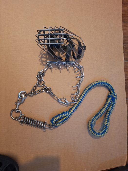 Botnita metalica si zgarda antitragere caine talie mare