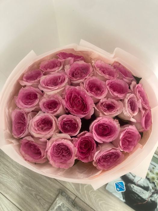 Цветы роза 25 шт