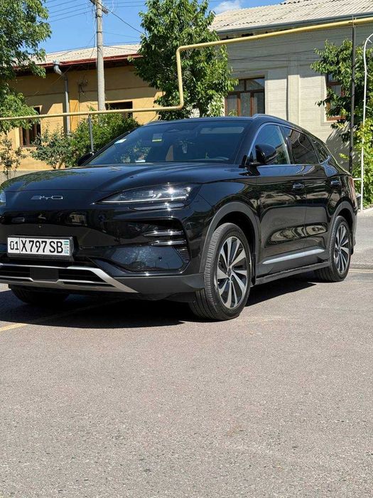 BYD Chempion 2024 Full