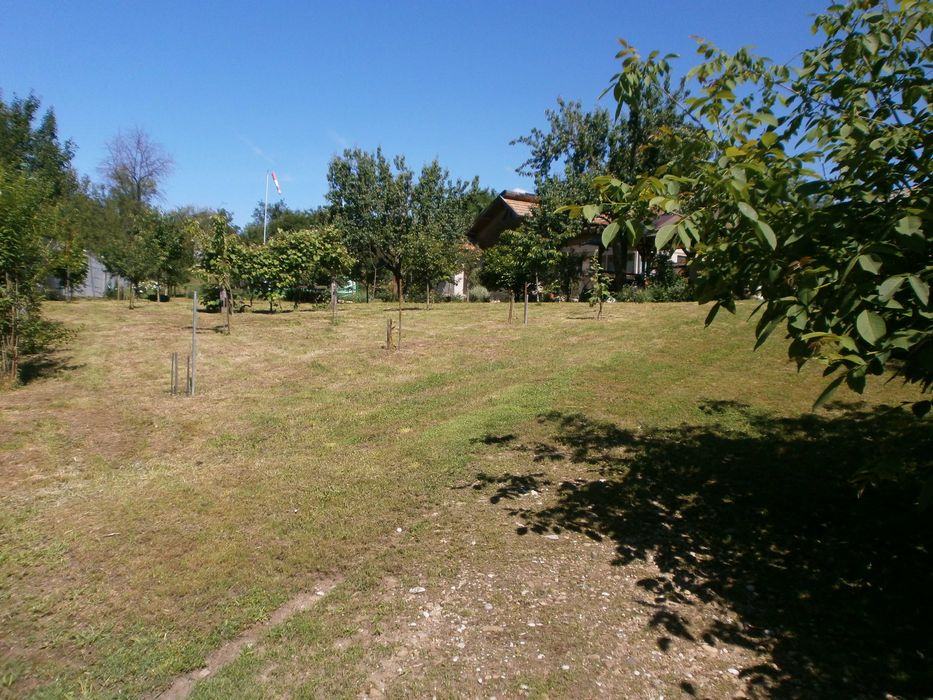 Vand casa cu teren 3000 m2 Bascenii de Sus