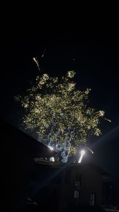 Yengi Yilni Amirsoyda kuting Dacha Amirsoy