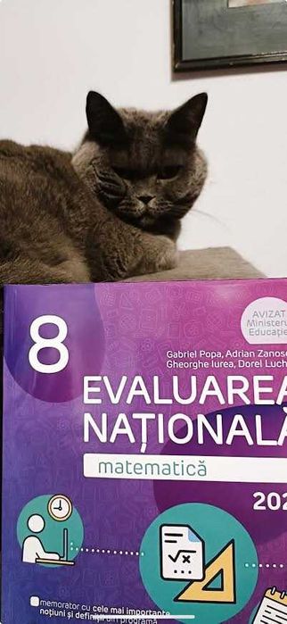 Meditatii matematica Individual cls 4-8