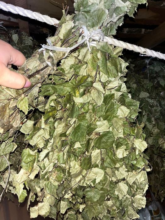 Продам банные веники 2025года