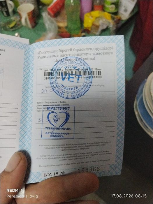 Отдам в хорошие руки.