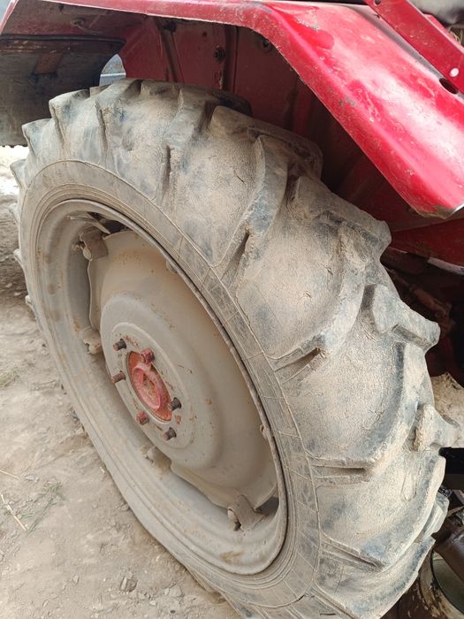 Shina t16 patpat