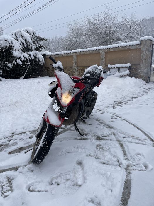 motor malaguti drakon