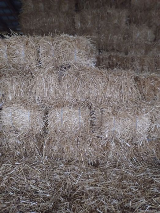 Vând baloți paie, coceni, nutreț