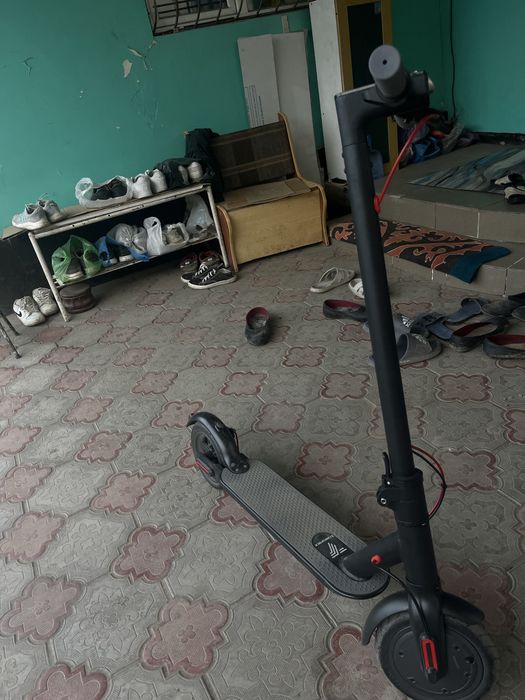 Сомакат новый бугын алынган