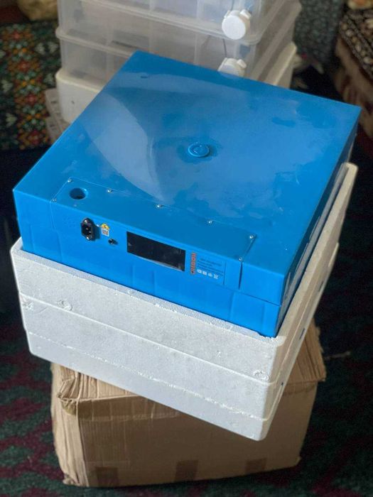 Inkubator инкубатор