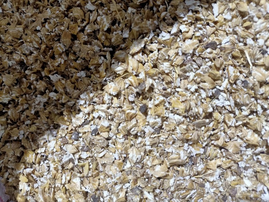 Продам отруби пшеницу ячмень