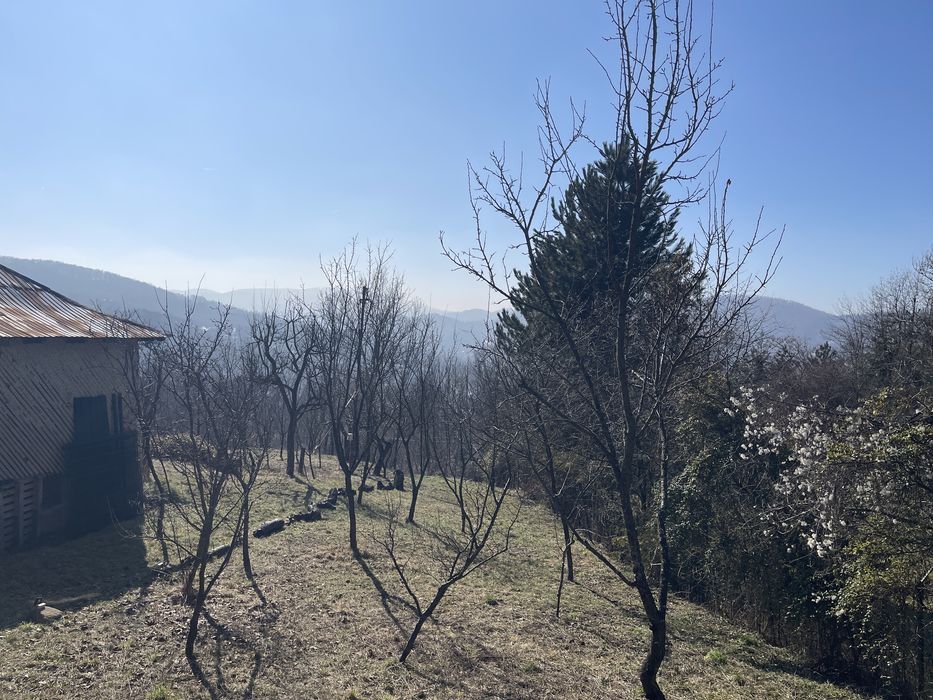 Casa vacanta de vanzare Provița de Jos